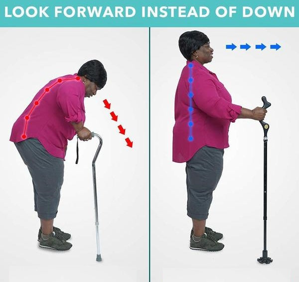 Where To Buy Posture Cane