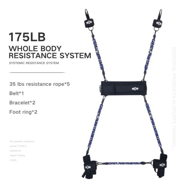 Where To Buy Exercise Bands Near Me 